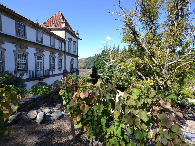 Casa Das Torres De Oliveira Bed and Breakfast Mesão Frio Εξωτερικό φωτογραφία