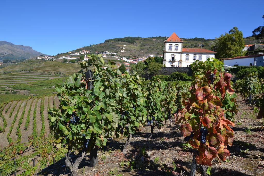 Casa Das Torres De Oliveira Bed and Breakfast Mesão Frio Εξωτερικό φωτογραφία