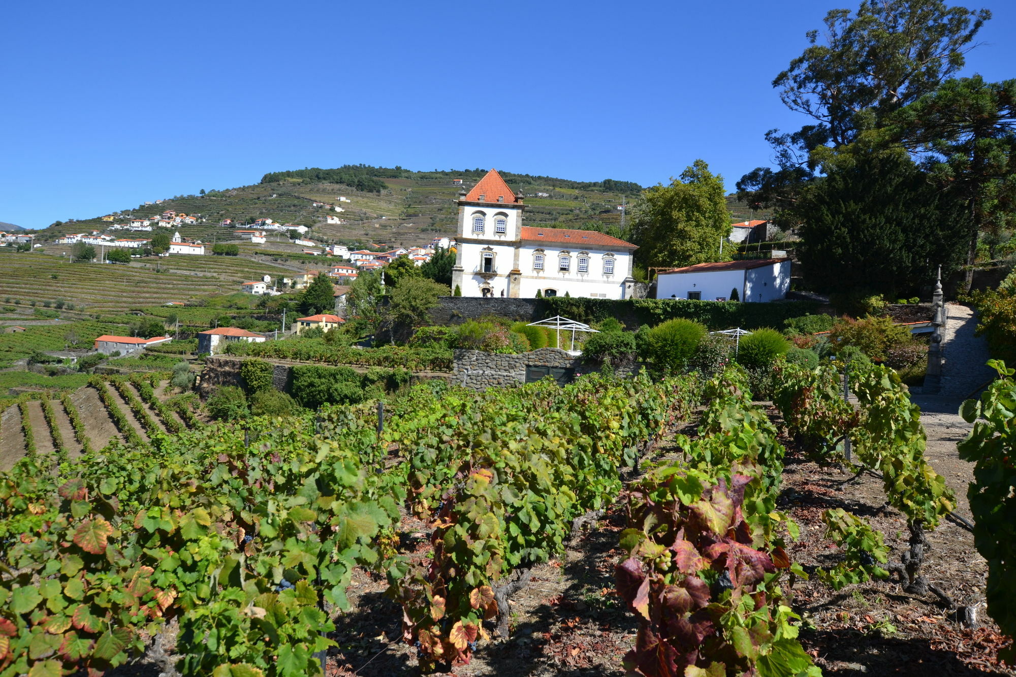 Casa Das Torres De Oliveira Bed and Breakfast Mesão Frio Εξωτερικό φωτογραφία