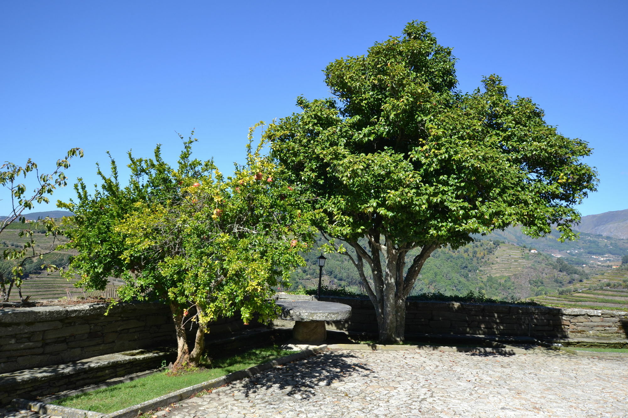 Casa Das Torres De Oliveira Bed and Breakfast Mesão Frio Εξωτερικό φωτογραφία