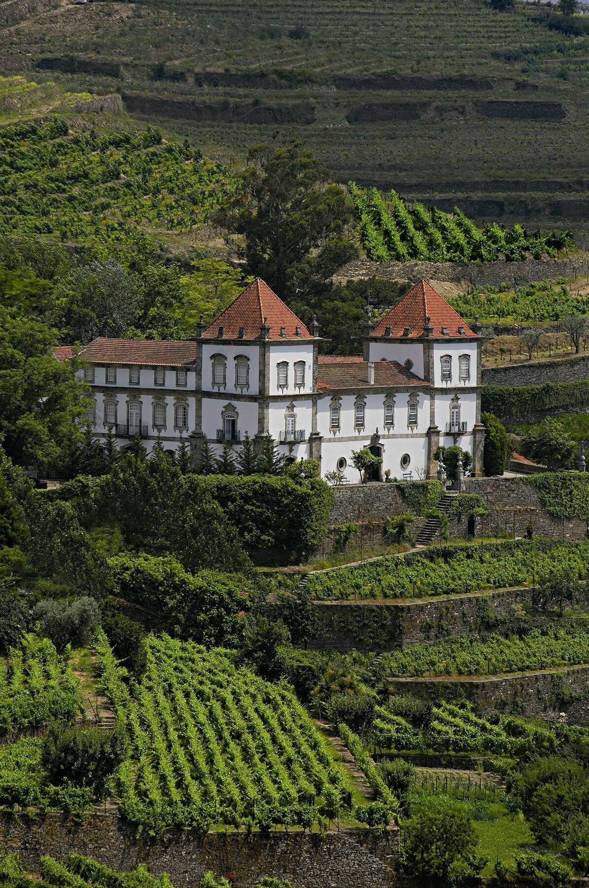 Casa Das Torres De Oliveira Bed and Breakfast Mesão Frio Εξωτερικό φωτογραφία