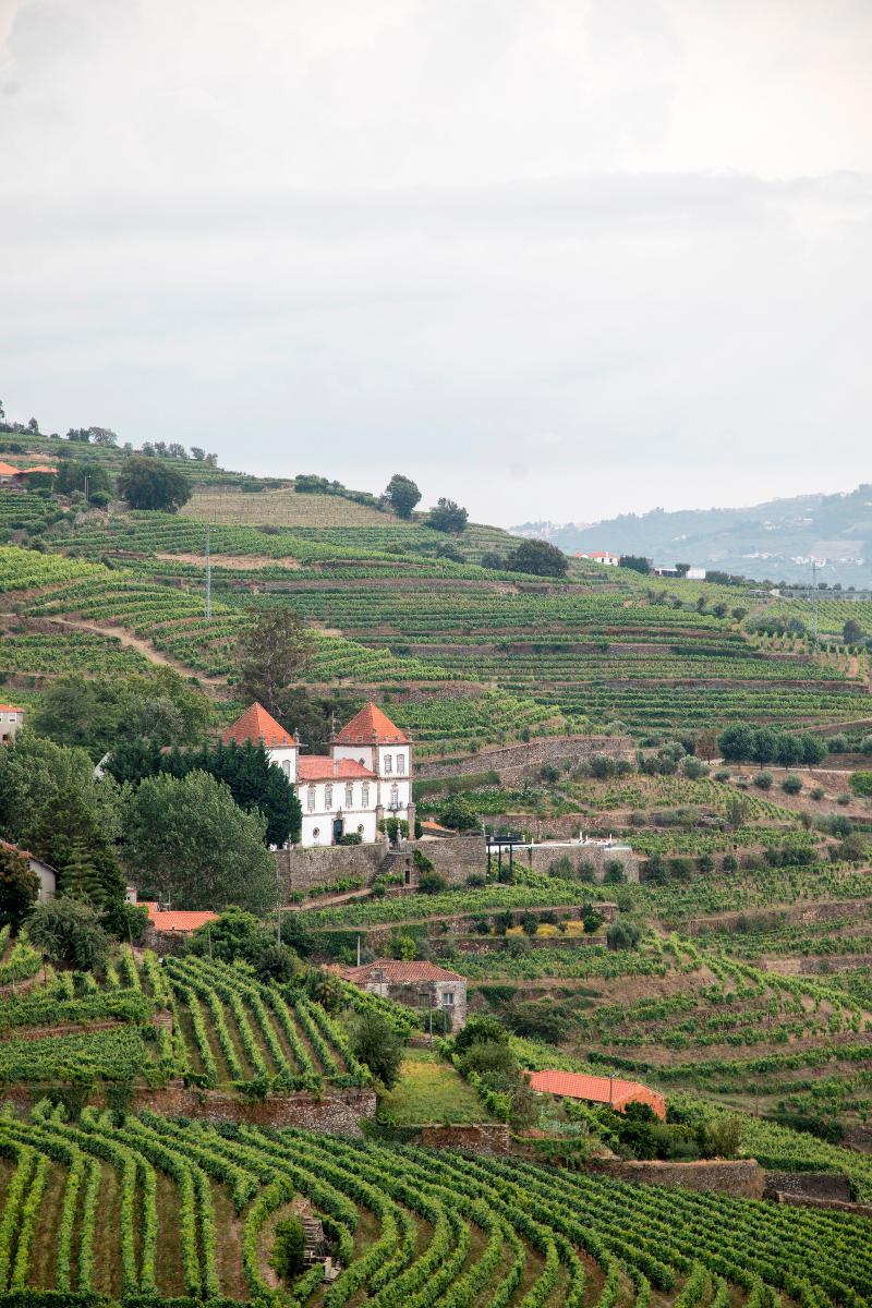 Casa Das Torres De Oliveira Bed and Breakfast Mesão Frio Εξωτερικό φωτογραφία