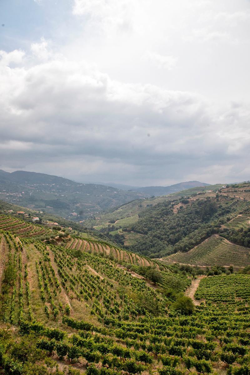 Casa Das Torres De Oliveira Bed and Breakfast Mesão Frio Εξωτερικό φωτογραφία